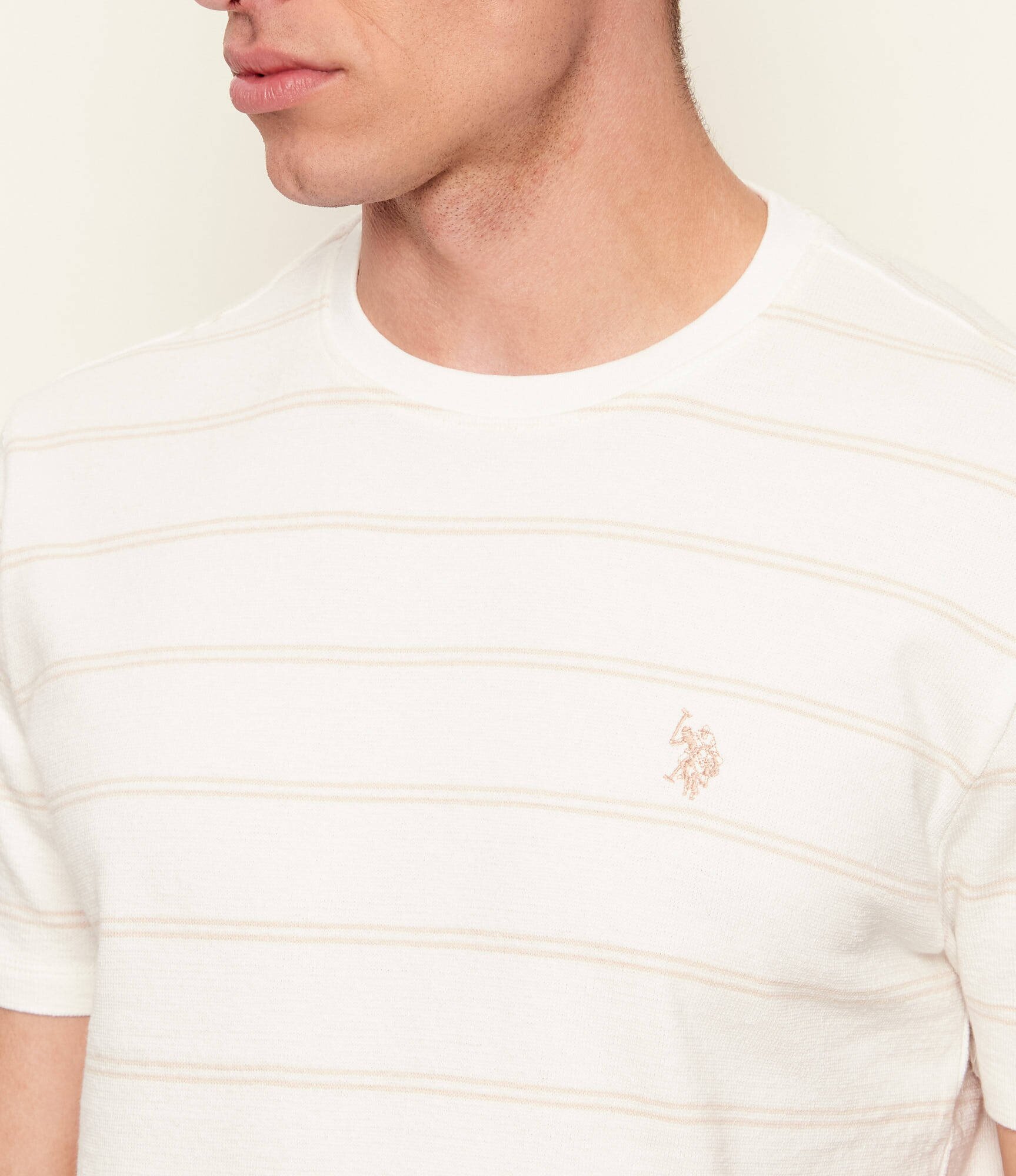 US Polo ASSN Tricou | regular fit