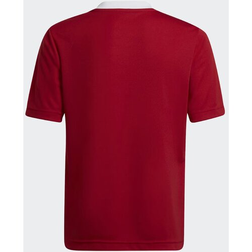 adidas Tricou copii Jr Ent22 Jersey H57496