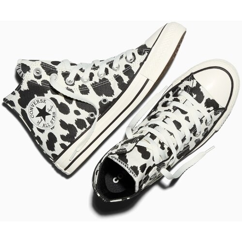 Converse Tenisi unisex Chuck Taylor All Star A17919C