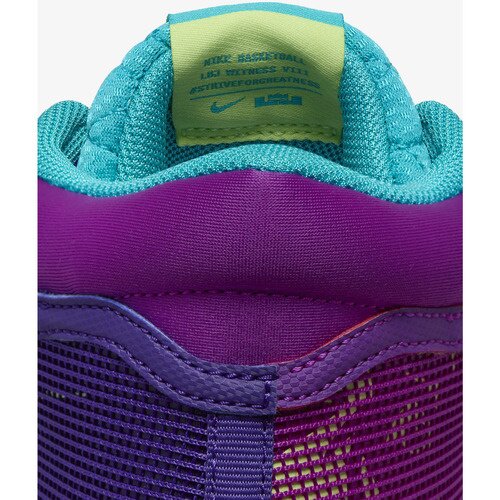 Nike Pantofi sport barbati Lebron Witness Viii FB2239-500