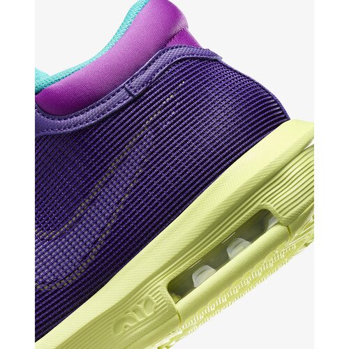 Nike Pantofi sport barbati Lebron Witness Viii FB2239-500