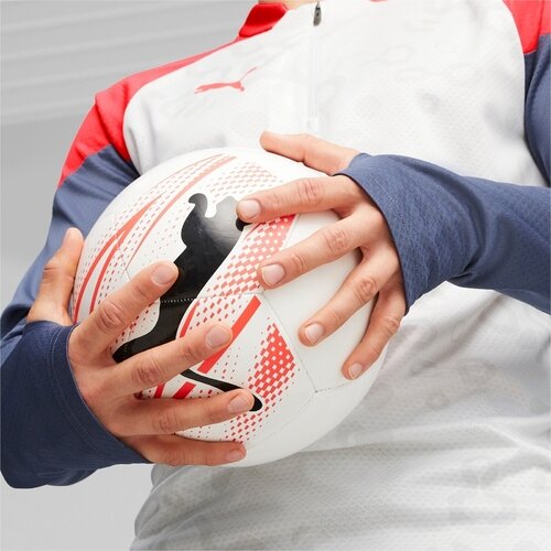 Puma Bluza barbati Individualcup 14 Zip Top 65848353