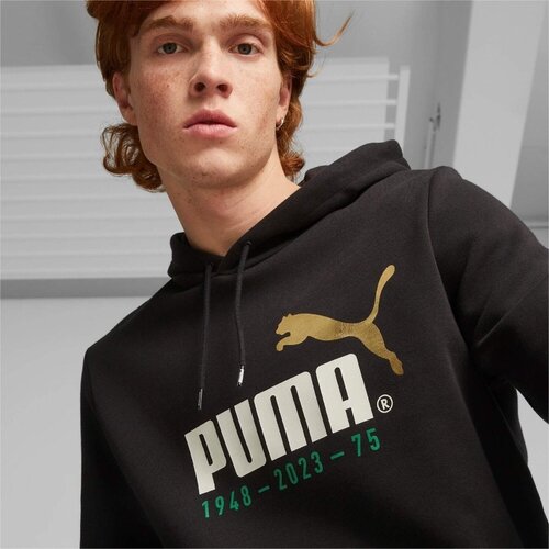Puma Hanorac barbati Logo Celebration 67602101