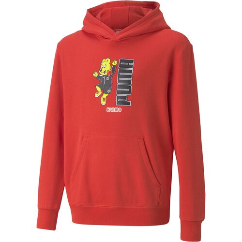 Puma Hanorac copii Hoodie 53286623