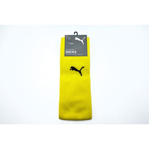 Puma Jambiere barbati Teamfinal 21 70415707