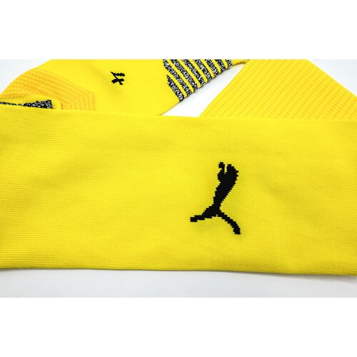 Puma Jambiere barbati Teamfinal 21 70415707