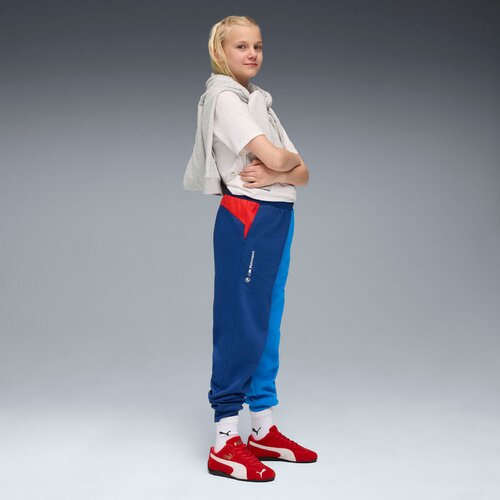 Puma Pantaloni copii Bmw Mms Kids Ess Pants Fl Pro 63296504