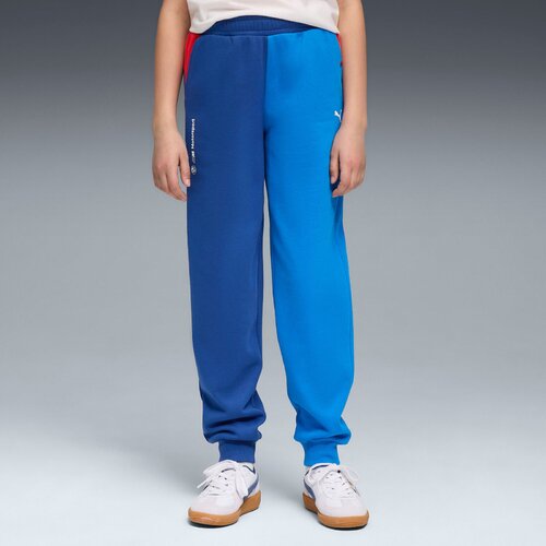 Puma Pantaloni copii Bmw Mms Kids Ess Pants Fl Pro 63296504