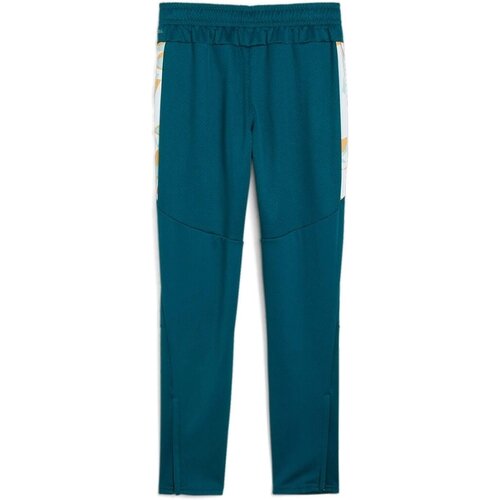 Puma Pantaloni copii Neymar Jr Creativity Training Pants Jr 65895713