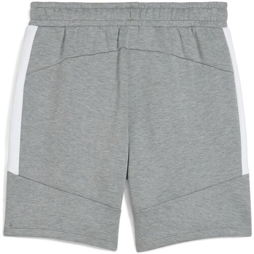 Puma Pantaloni scurti barbati Teamevostripe Shorts 65995133