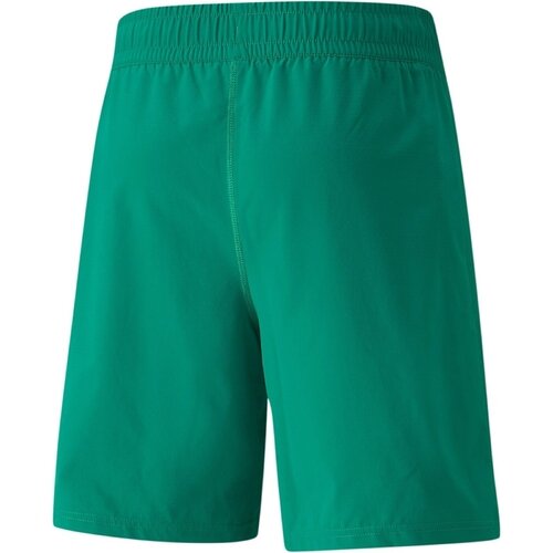 Puma Pantaloni scurti barbati Teamfinal Shorts 70507605