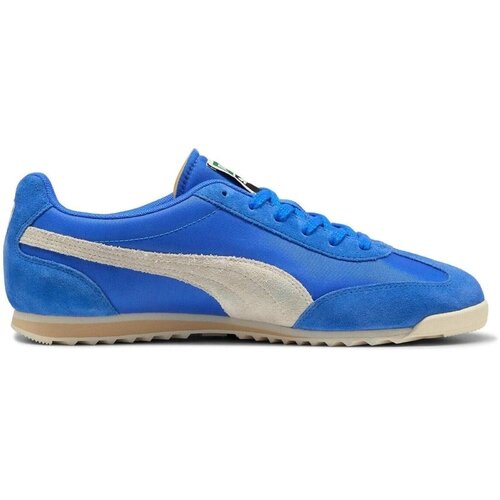 Puma Pantofi sport unisex Unisex Arizona 39868201