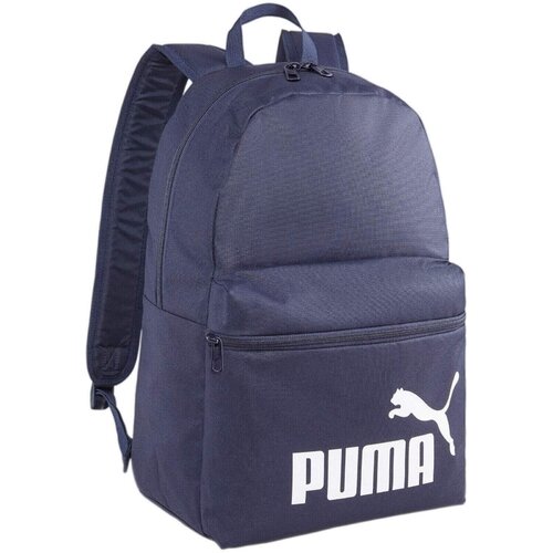 Puma Rucsac unisex Phase 22L 07994302
