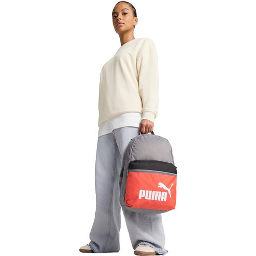 Puma Rucsac unisex Phase Color Block Backpack 09117502