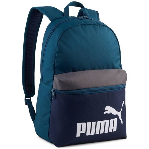 Puma Rucsac unisex Phase Color Block Backpack 09117511