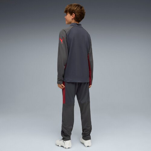 Puma Trening copii Individualliga Tracksuit Jr 66057701