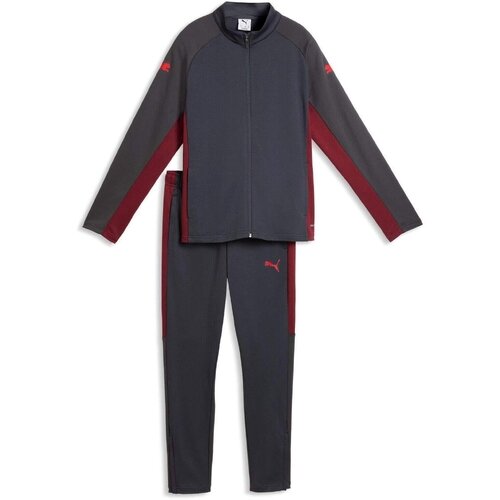 Puma Trening copii Individualliga Tracksuit Jr 66057701