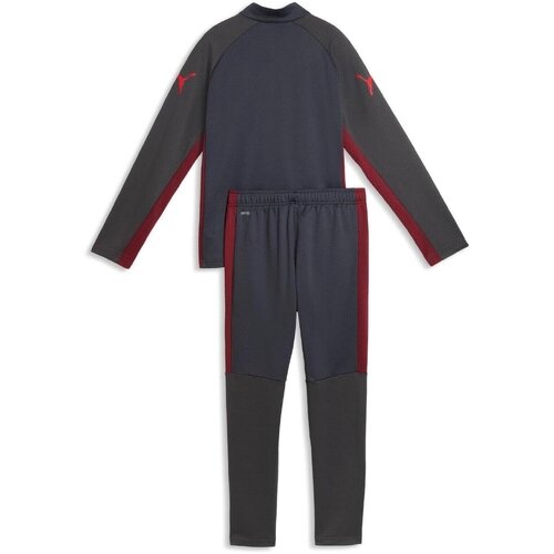 Puma Trening copii Individualliga Tracksuit Jr 66057701