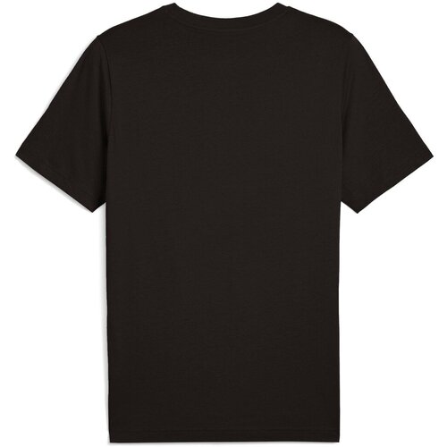 Puma Tricou barbati Graphics Wording Tee 68482501