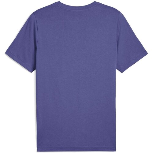 Puma Tricou barbati Graphics Wording Tee 68482546