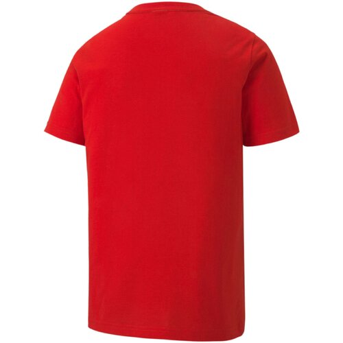 Puma Tricou copii Teamgoal 23 65670901-2PACK