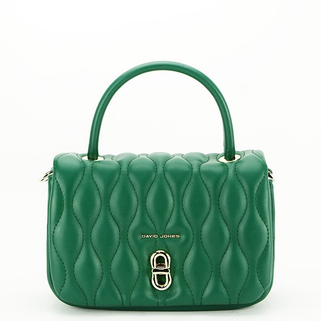 David Jones Geanta CM6783 15 Verde