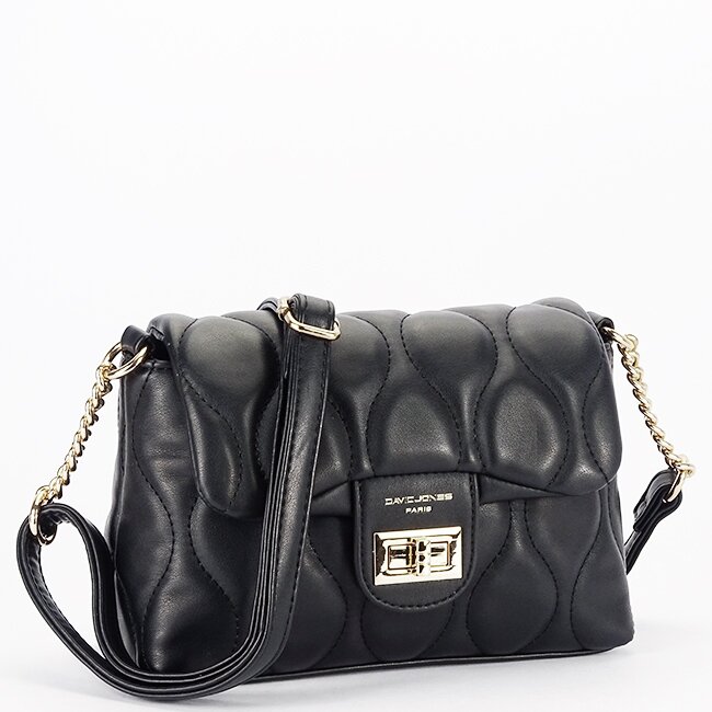 David Jones Geanta mica neagra CM6700H 129