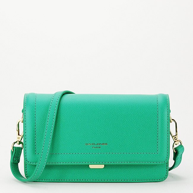 David Jones Geanta mica verde menta CM6985 15