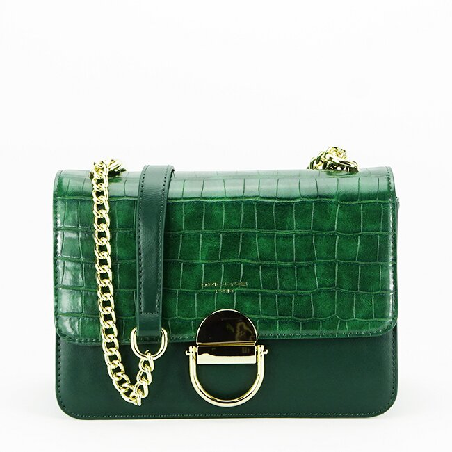 David Jones Geanta Paris CM6550 12 Verde