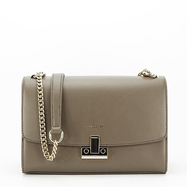 David Jones Geanta Paris CM6726 15 Maro