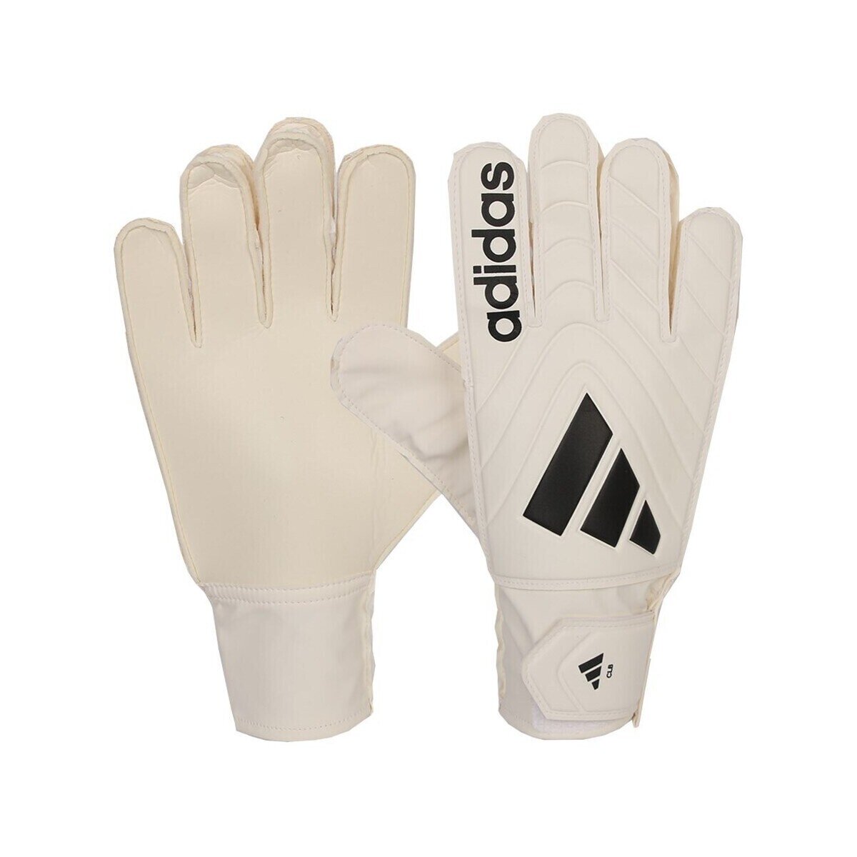 adidas Accesorii textile Copa Gl Clb