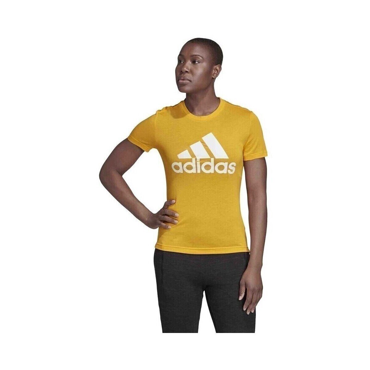 adidas Îmbracaminte Badge OF Sport
