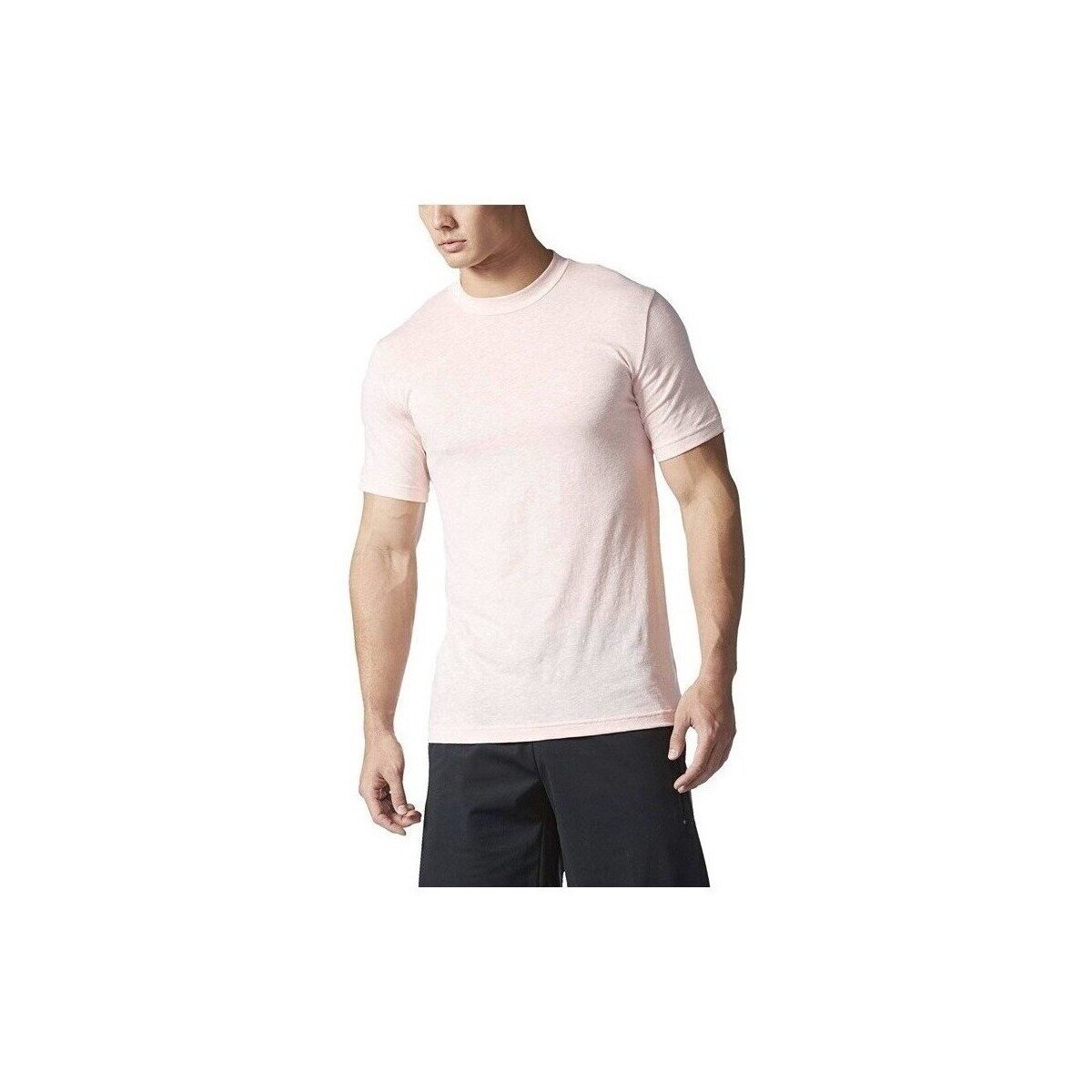 adidas Îmbracaminte Basic Tee