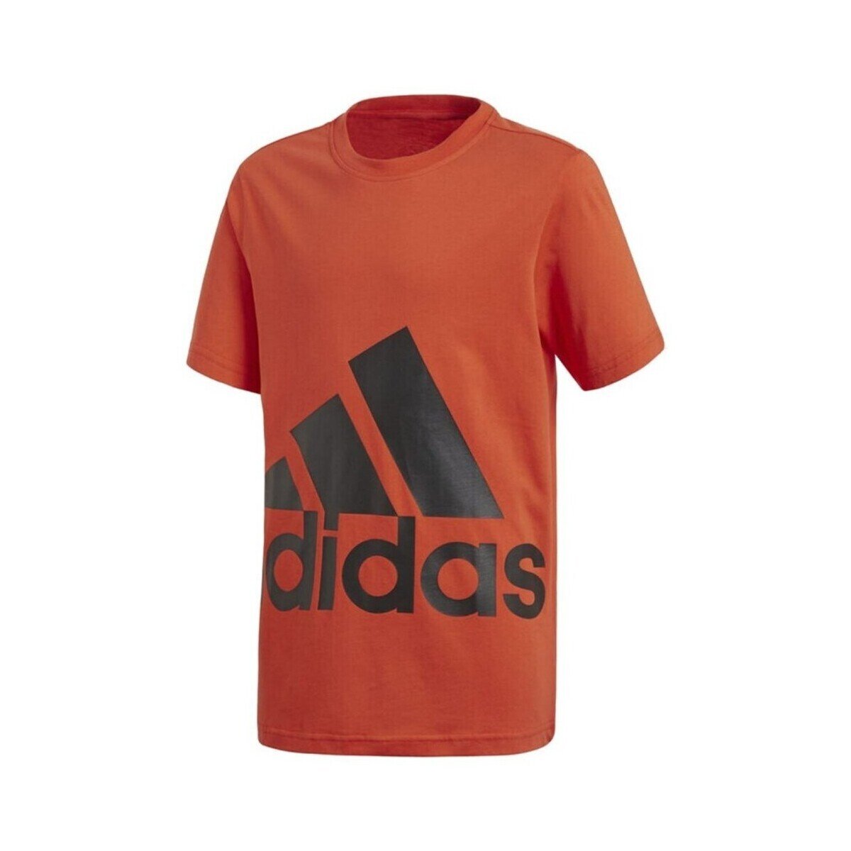adidas Îmbracaminte CF6522