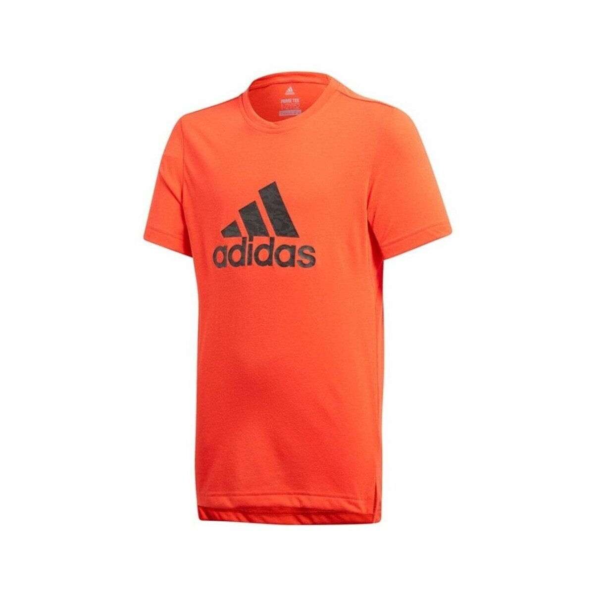 adidas Îmbracaminte CF7080