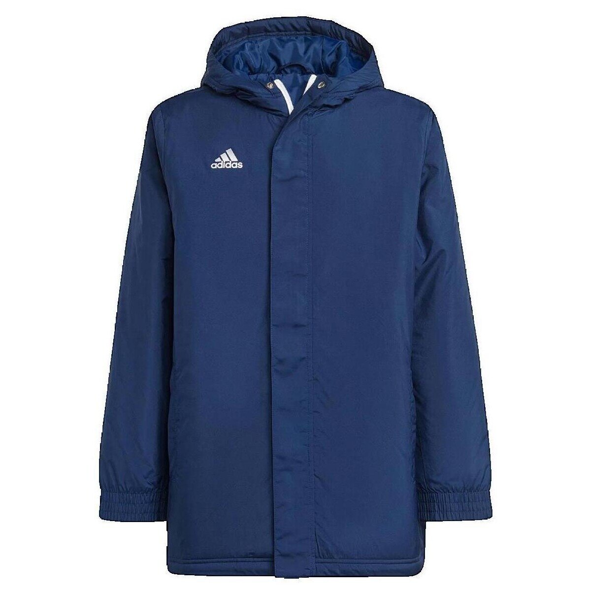 adidas Îmbracaminte Doudoune Entrada 22 Stadium