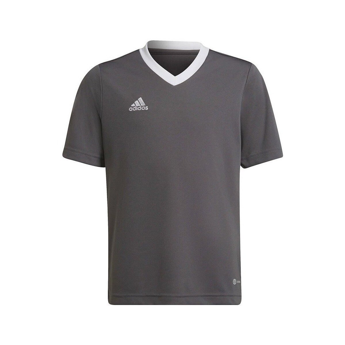 adidas Îmbracaminte Entrada 22 Jsy