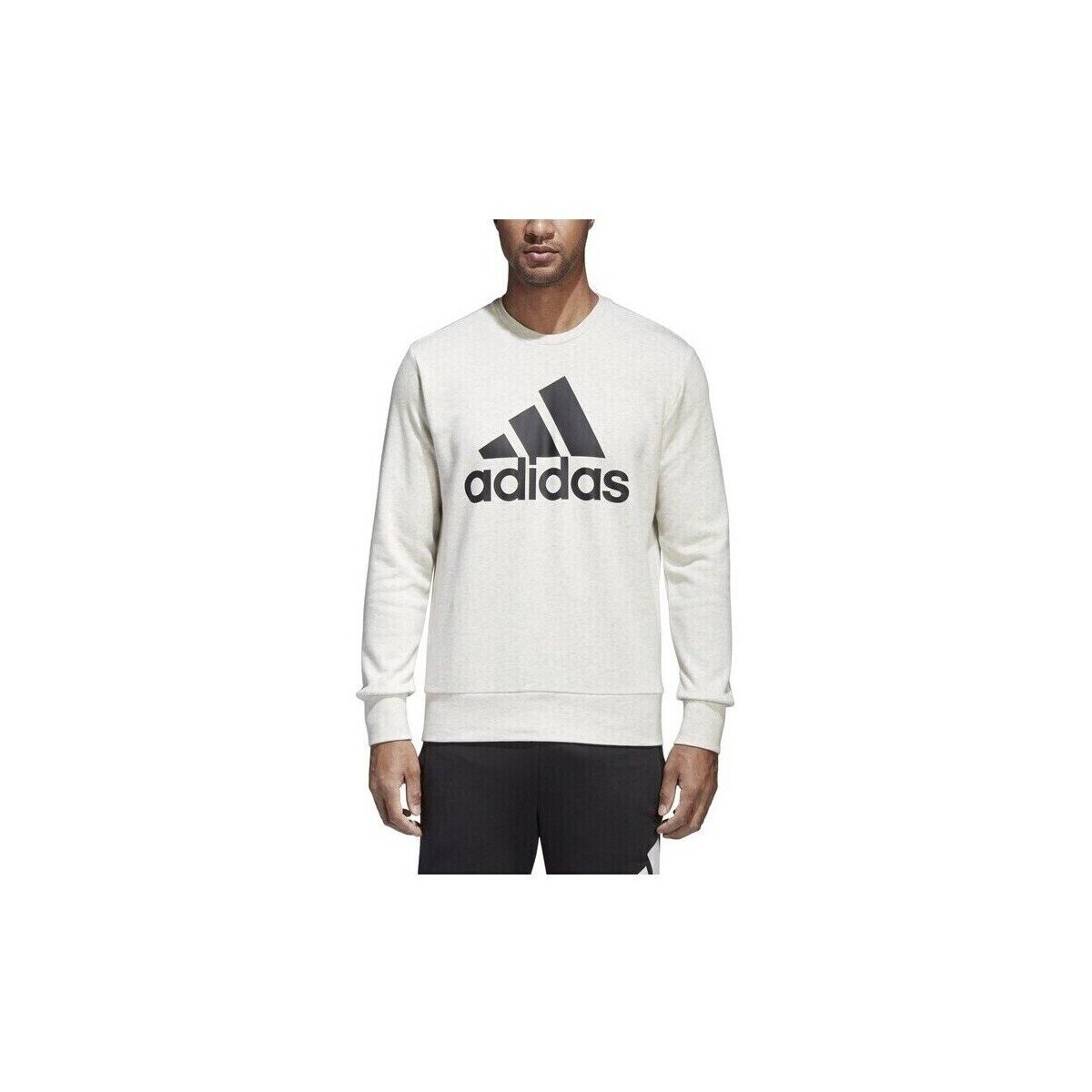 adidas Îmbracaminte Ess Big Logo Crew