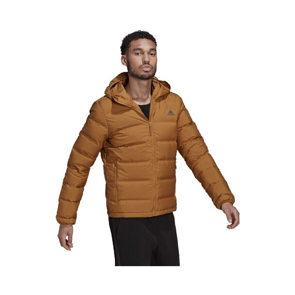 adidas Îmbracaminte Helionic Down Hooded