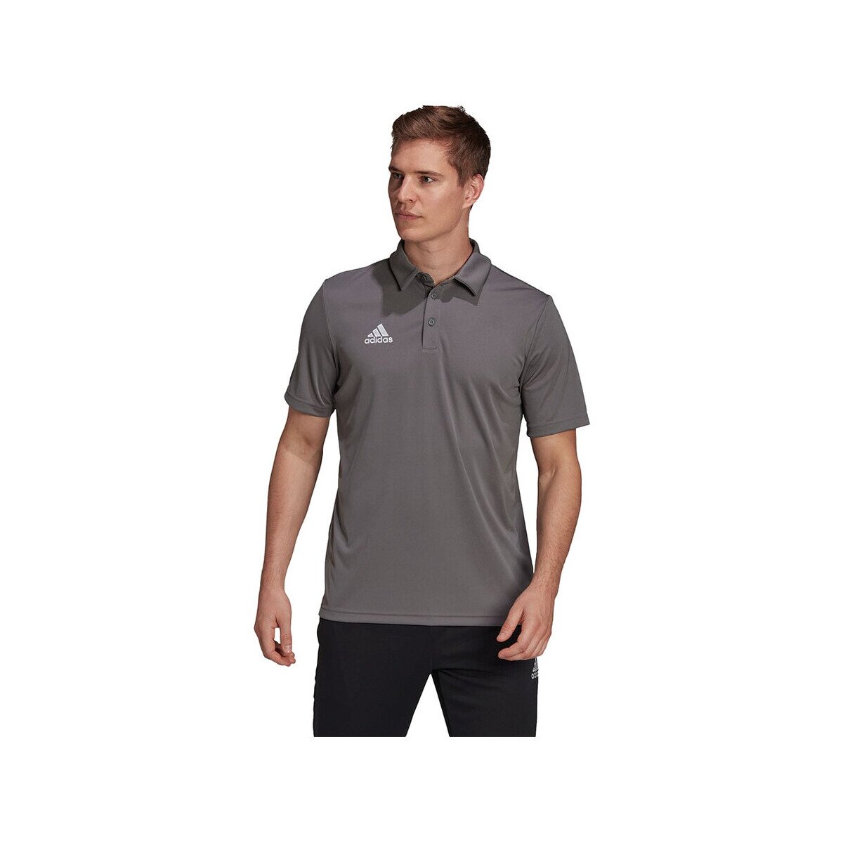 adidas Îmbracaminte Polo Entrada 22 coton