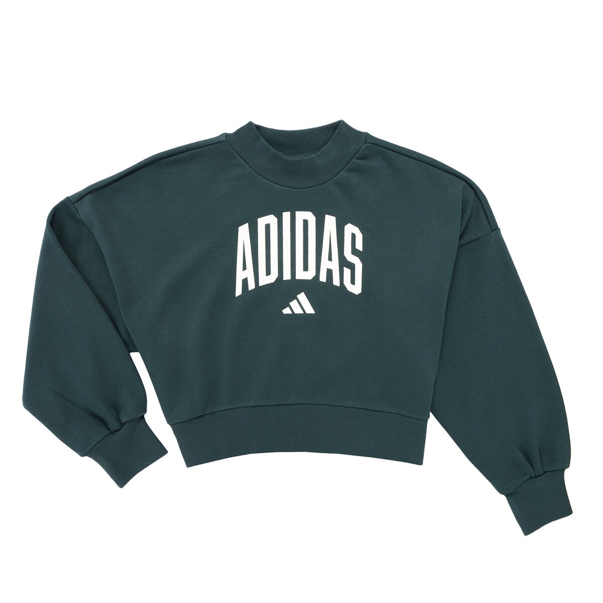 adidas Îmbracaminte Seasonals Essentials Collegiate Typography Crewneck Sweatshirt K