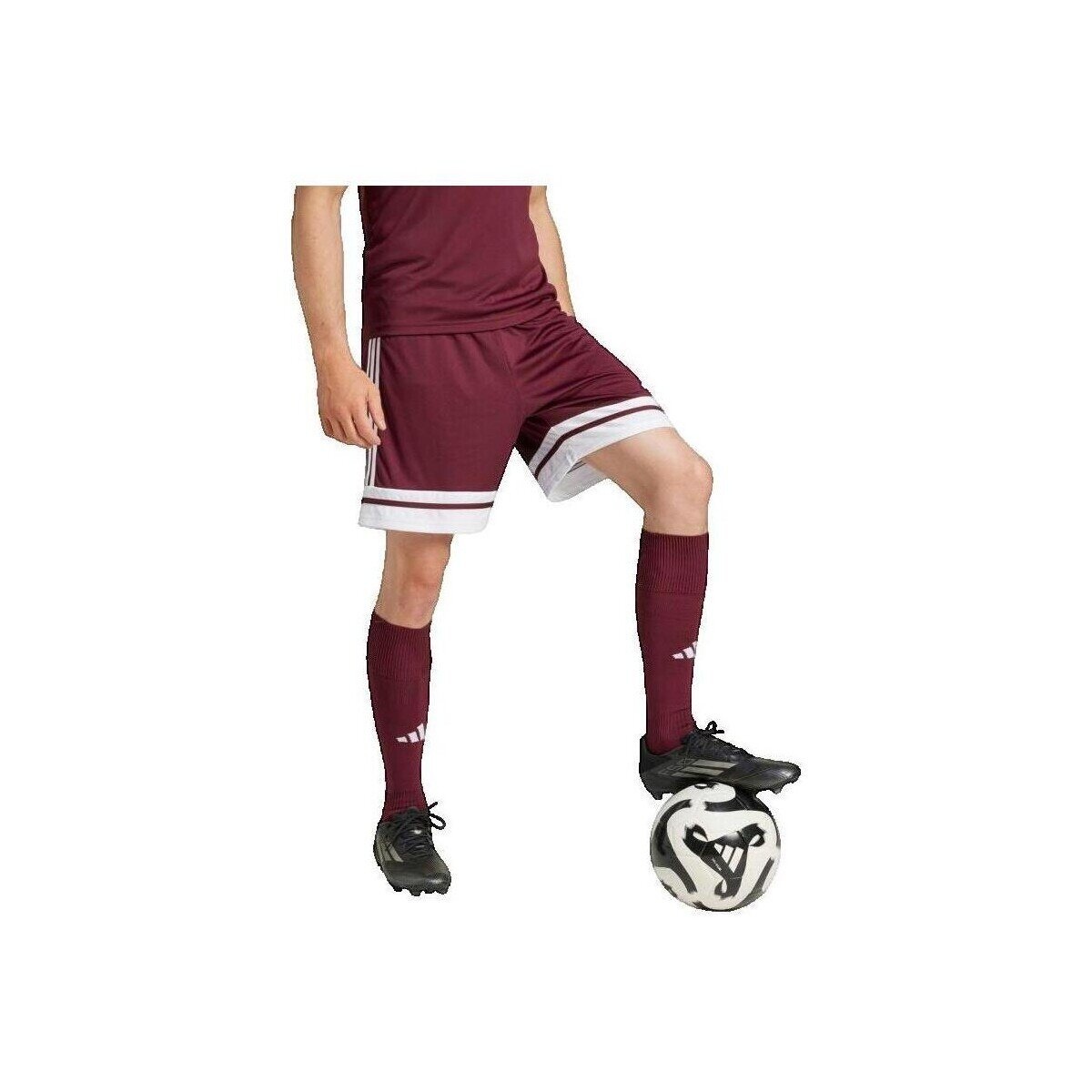 adidas Îmbracaminte Short Squadra 25 Bordeaux