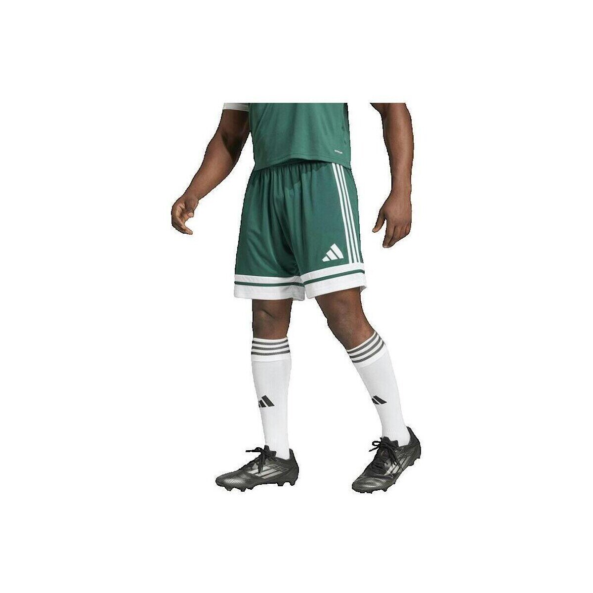 adidas Îmbracaminte Short Squadra 25 vert