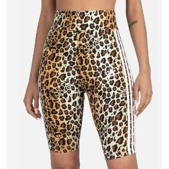 adidas Îmbracaminte Short Tight W