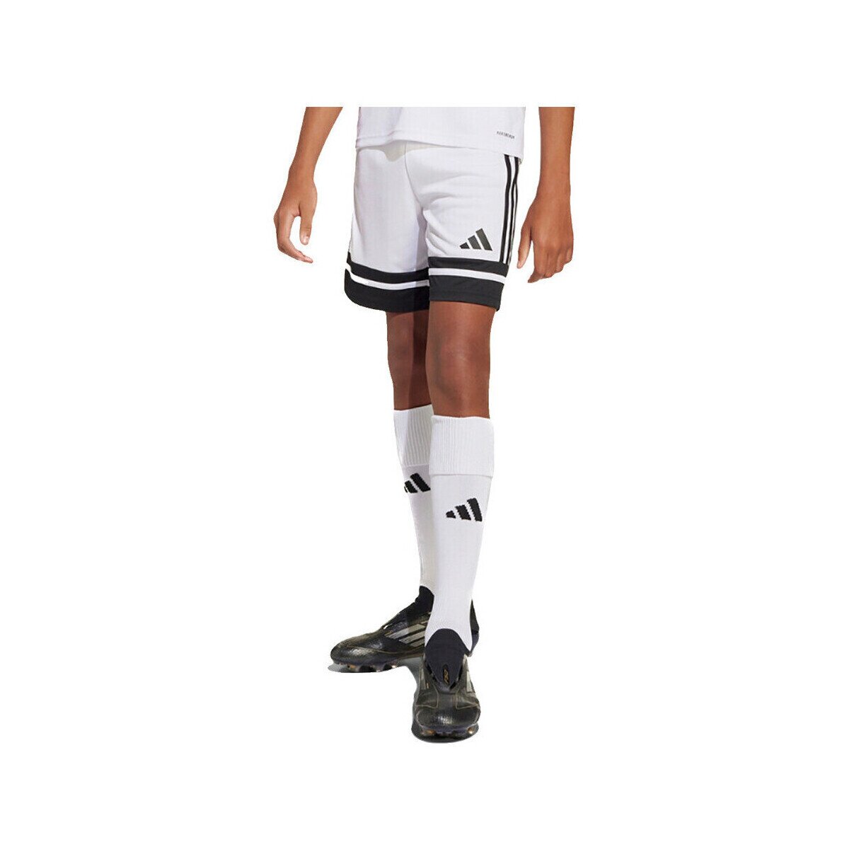 adidas Îmbracaminte Shorts squadra 25 100% polyester