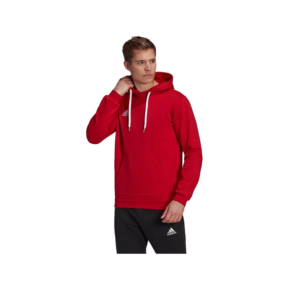 adidas Îmbracaminte Sweat à capuche Entrada 22 coton