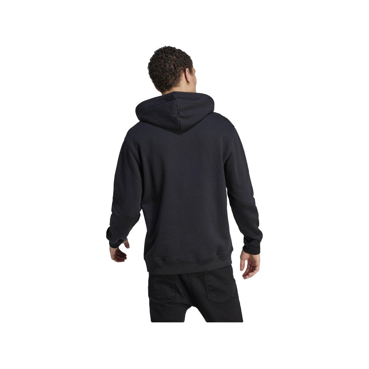 adidas Îmbracaminte Sweat-shirt Adicolor Classics Trefoil noir