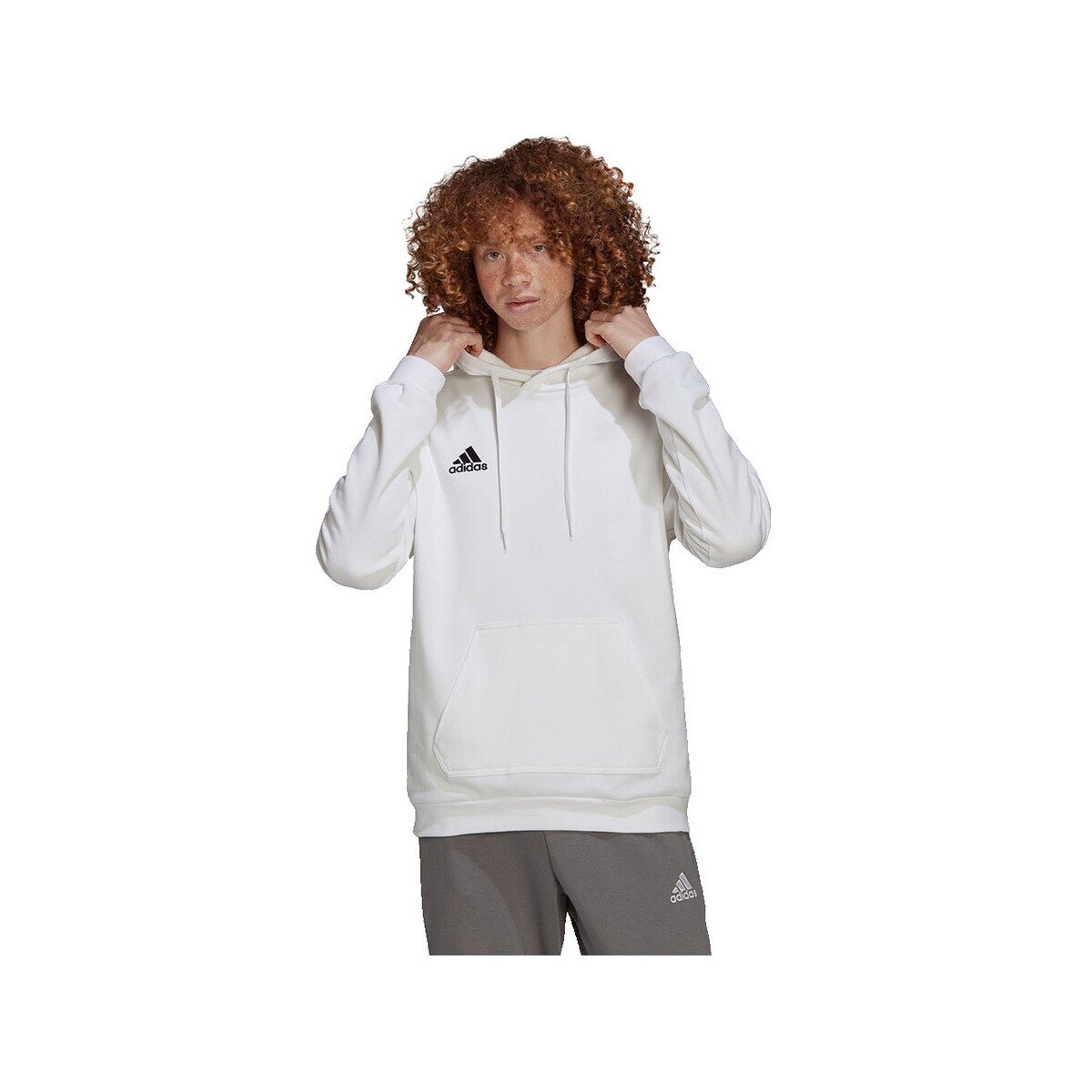 adidas Îmbracaminte Sweatshirts Entrada 22 molleton doux