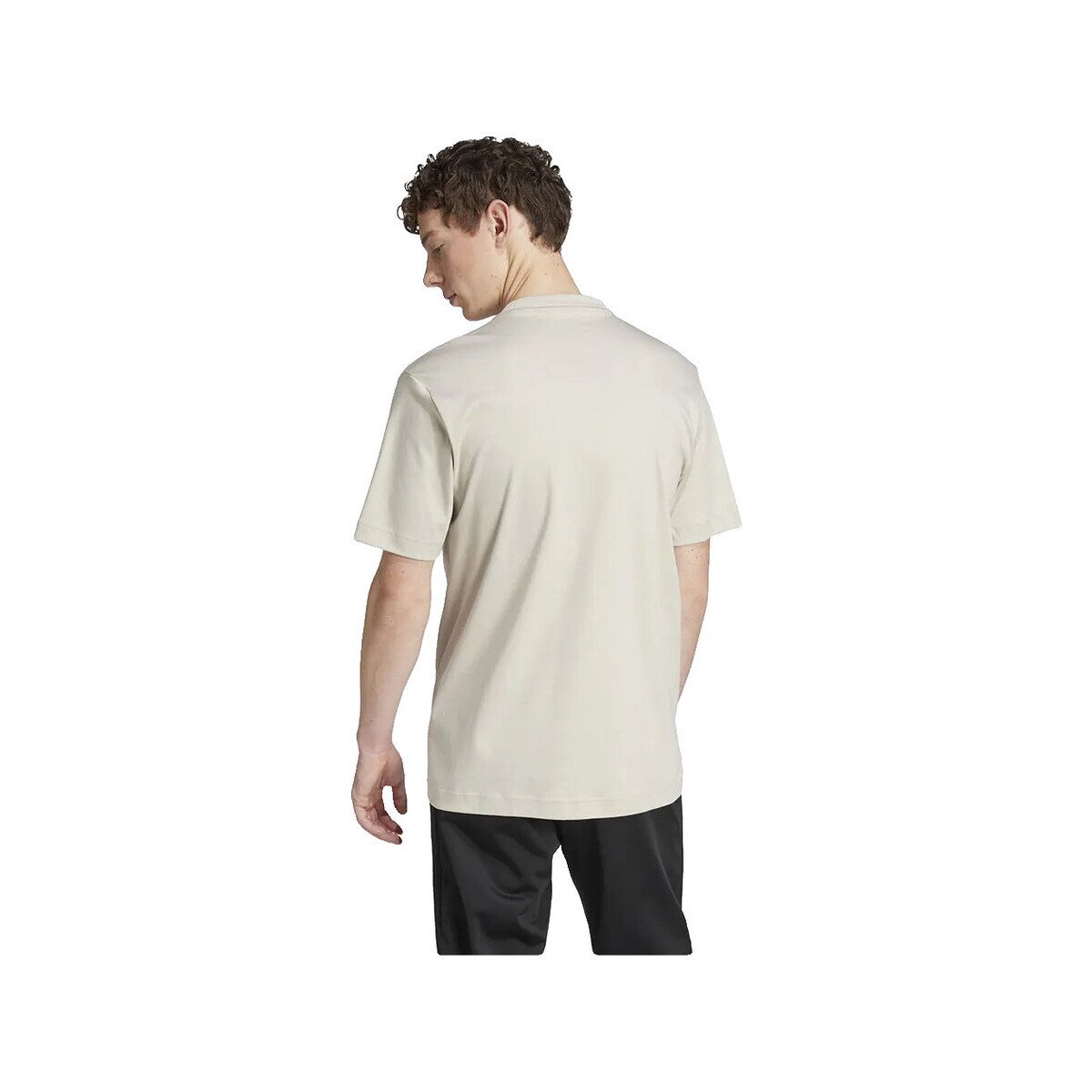 adidas Îmbracaminte T-shirt City Escape Manches Courtes 100% Coton