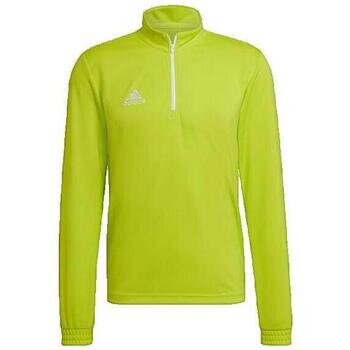 adidas Îmbracaminte T-shirt Entrada 22